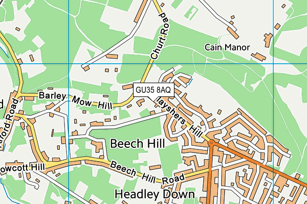 GU35 8AQ map - OS VectorMap District (Ordnance Survey)