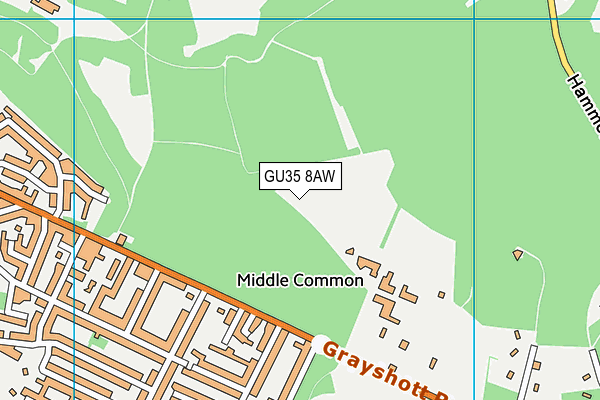 GU35 8AW map - OS VectorMap District (Ordnance Survey)