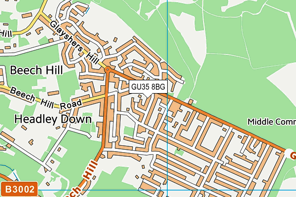 GU35 8BG map - OS VectorMap District (Ordnance Survey)