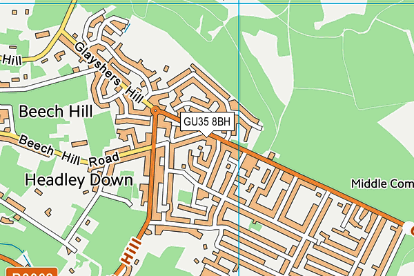 GU35 8BH map - OS VectorMap District (Ordnance Survey)