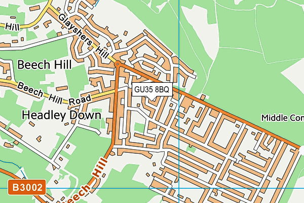 GU35 8BQ map - OS VectorMap District (Ordnance Survey)