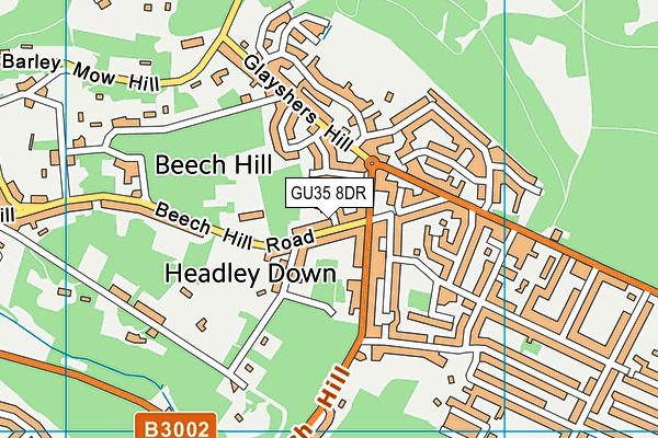 GU35 8DR map - OS VectorMap District (Ordnance Survey)