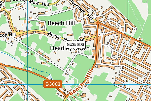 GU35 8DS map - OS VectorMap District (Ordnance Survey)