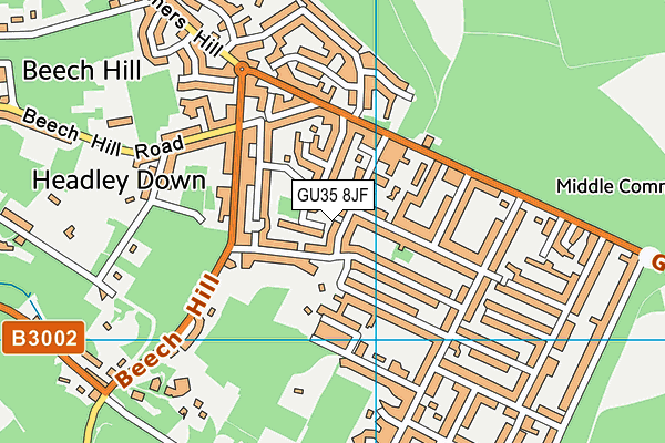 GU35 8JF map - OS VectorMap District (Ordnance Survey)