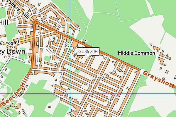GU35 8JH map - OS VectorMap District (Ordnance Survey)
