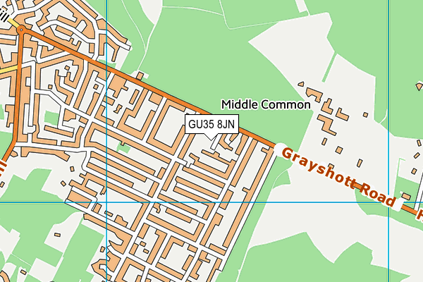 GU35 8JN map - OS VectorMap District (Ordnance Survey)