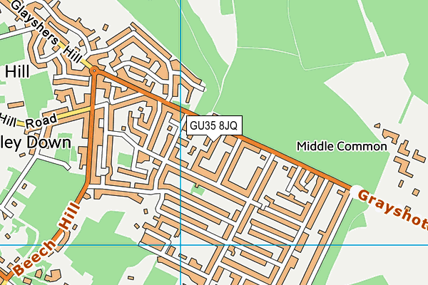 GU35 8JQ map - OS VectorMap District (Ordnance Survey)