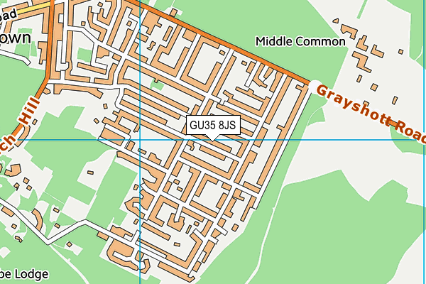 GU35 8JS map - OS VectorMap District (Ordnance Survey)