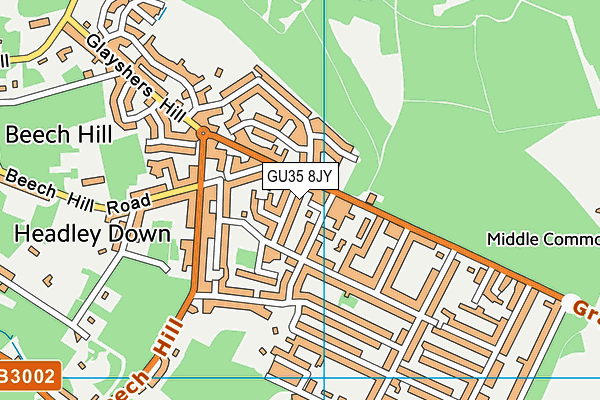 GU35 8JY map - OS VectorMap District (Ordnance Survey)