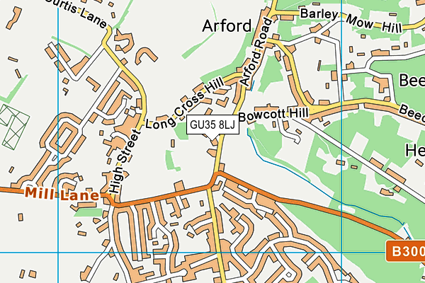 GU35 8LJ map - OS VectorMap District (Ordnance Survey)