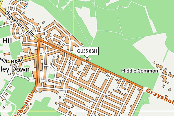 GU35 8SH map - OS VectorMap District (Ordnance Survey)