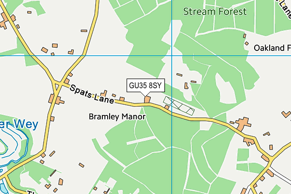 GU35 8SY map - OS VectorMap District (Ordnance Survey)