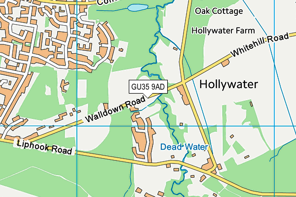 GU35 9AD map - OS VectorMap District (Ordnance Survey)