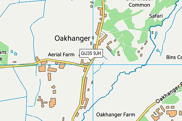 GU35 9JH map - OS VectorMap District (Ordnance Survey)