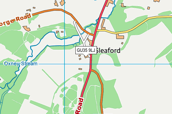 GU35 9LJ map - OS VectorMap District (Ordnance Survey)