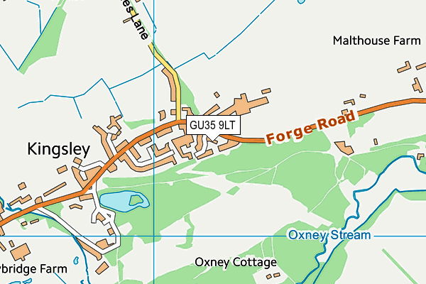 GU35 9LT map - OS VectorMap District (Ordnance Survey)