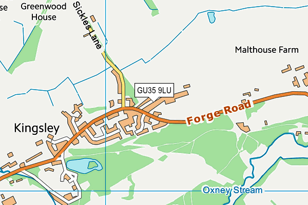 The Green Room School Kingsley map (GU35 9LU) - OS VectorMap District (Ordnance Survey)