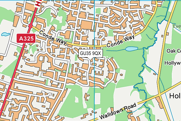Woodlea Primary School map (GU35 9QX) - OS VectorMap District (Ordnance Survey)