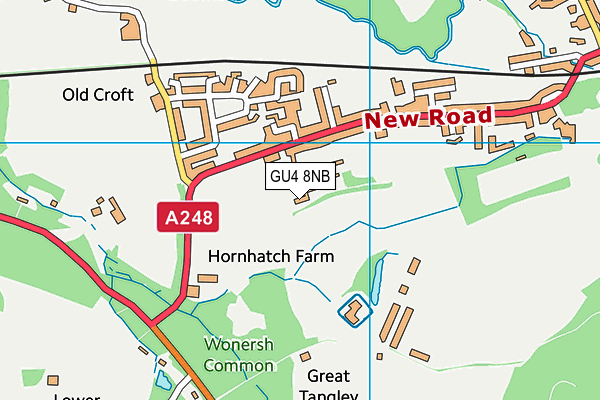 Tillingbourne School (Closed) map (GU4 8NB) - OS VectorMap District (Ordnance Survey)