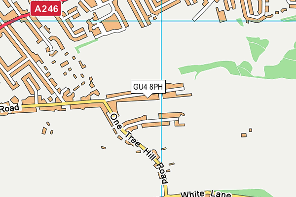 GU4 8PH map - OS VectorMap District (Ordnance Survey)