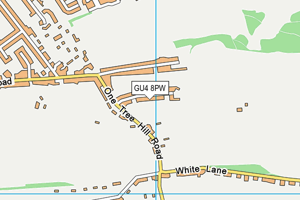 GU4 8PW map - OS VectorMap District (Ordnance Survey)