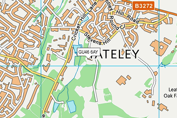 GU46 6AY map - OS VectorMap District (Ordnance Survey)