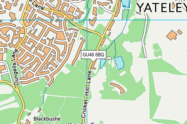 GU46 6BQ map - OS VectorMap District (Ordnance Survey)