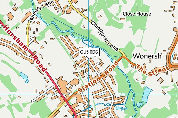 GU5 0DS map - OS VectorMap District (Ordnance Survey)