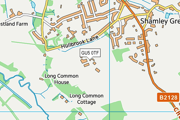 GU5 0TF map - OS VectorMap District (Ordnance Survey)