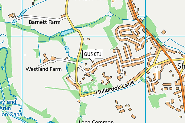 GU5 0TJ map - OS VectorMap District (Ordnance Survey)