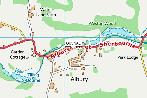 GU5 9AE map - OS VectorMap District (Ordnance Survey)