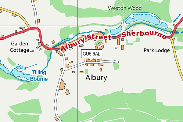 GU5 9AL map - OS VectorMap District (Ordnance Survey)