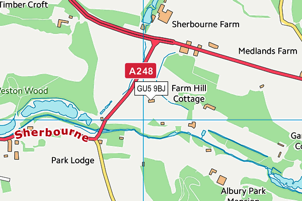 GU5 9BJ map - OS VectorMap District (Ordnance Survey)