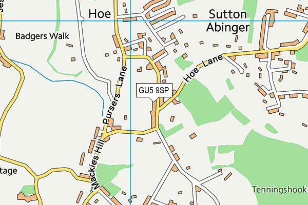 GU5 9SP map - OS VectorMap District (Ordnance Survey)