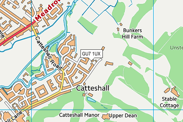 GU7 1UX map - OS VectorMap District (Ordnance Survey)