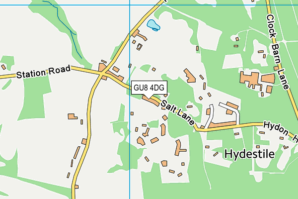 GU8 4DG map - OS VectorMap District (Ordnance Survey)