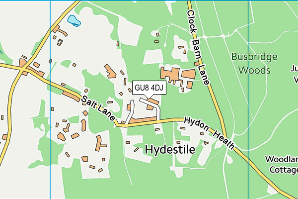 GU8 4DJ map - OS VectorMap District (Ordnance Survey)