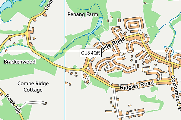 Combe Common map (GU8 4QR) - OS VectorMap District (Ordnance Survey)