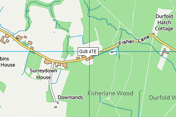 GU8 4TE map - OS VectorMap District (Ordnance Survey)