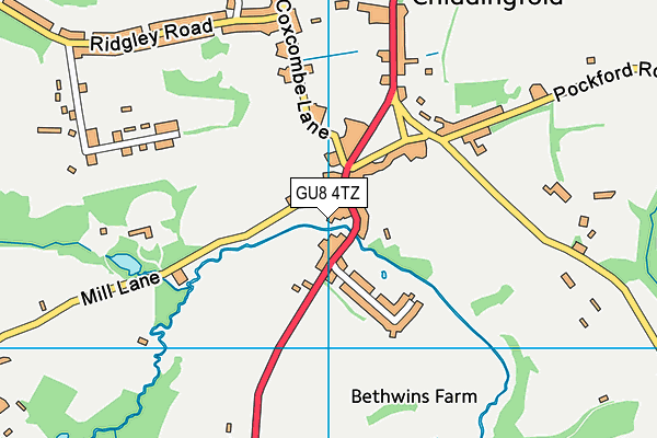 GU8 4TZ map - OS VectorMap District (Ordnance Survey)