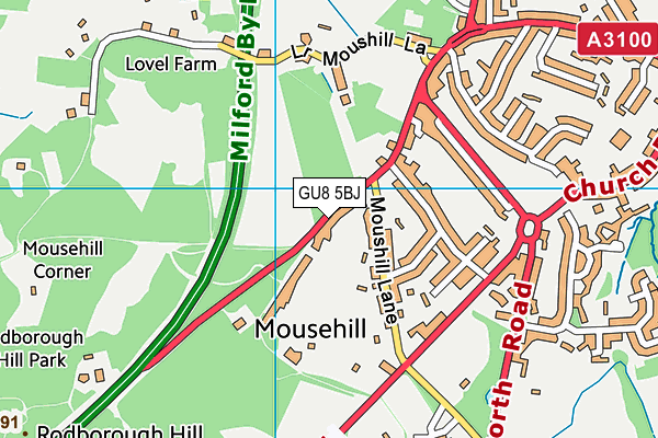 GU8 5BJ map - OS VectorMap District (Ordnance Survey)