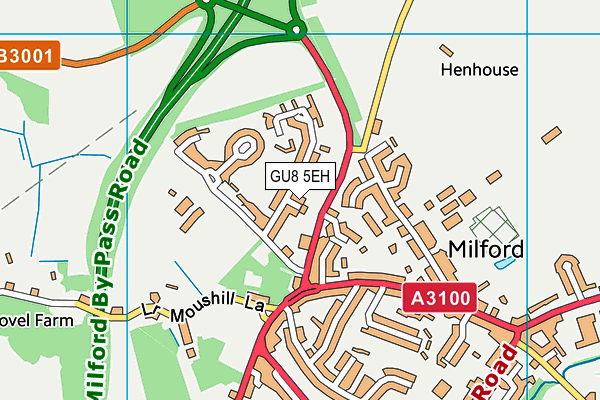 GU8 5EH map - OS VectorMap District (Ordnance Survey)