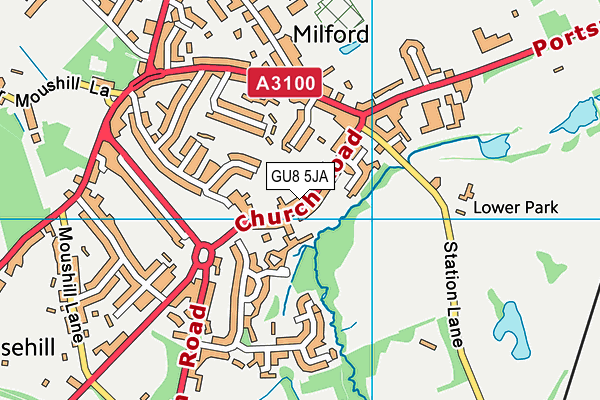 Milford School map (GU8 5JA) - OS VectorMap District (Ordnance Survey)