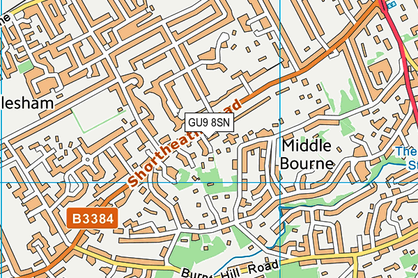 GU9 8SN map - OS VectorMap District (Ordnance Survey)