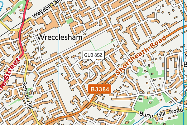GU9 8SZ map - OS VectorMap District (Ordnance Survey)
