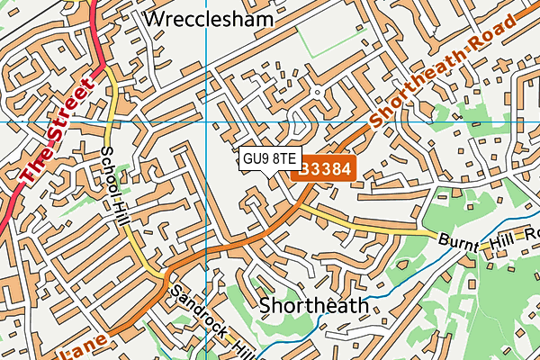 GU9 8TE map - OS VectorMap District (Ordnance Survey)