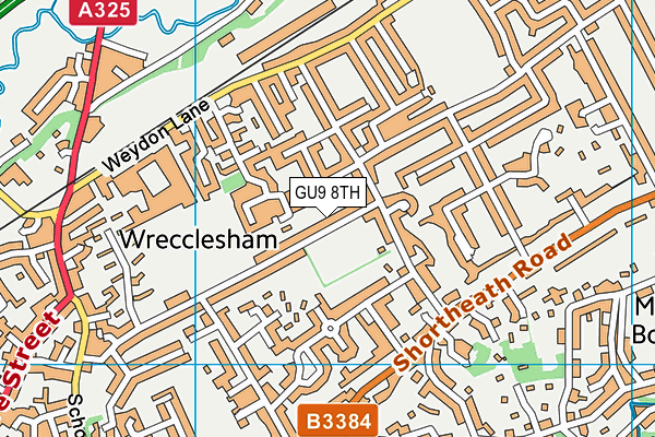 GU9 8TH map - OS VectorMap District (Ordnance Survey)