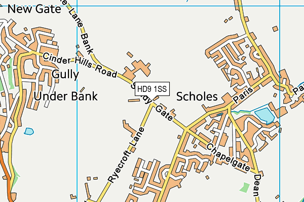 HD9 1SS map - OS VectorMap District (Ordnance Survey)