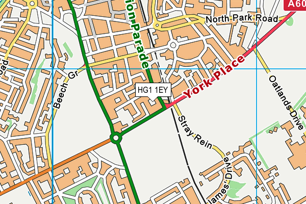 HG1 1EY map - OS VectorMap District (Ordnance Survey)