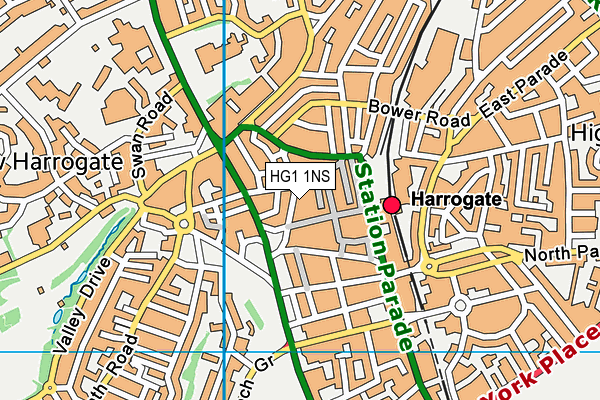 HG1 1NS map - OS VectorMap District (Ordnance Survey)